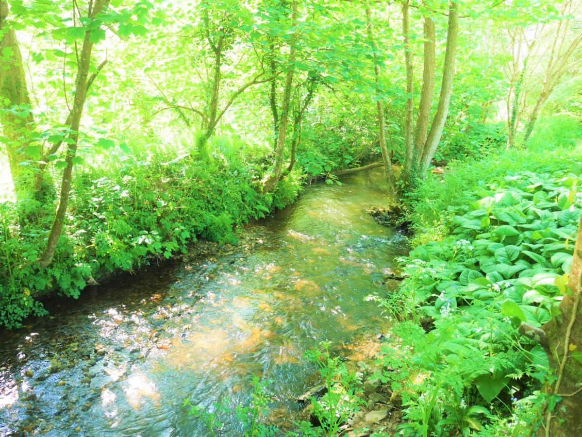 The Wriggly Tin At Tregoose Old Mill * Newquay (Cornwall)